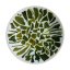 Shincha Sencha Kyoto 2026  |50g