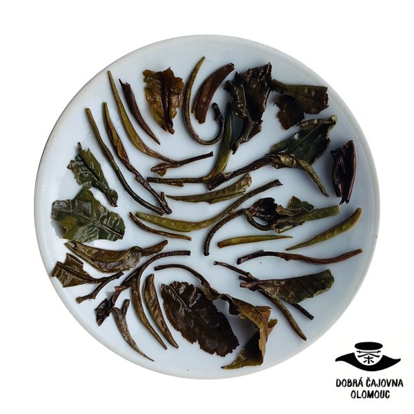 Dhara White "Bílá hvězda" |40g
