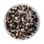 Darjeeling Second Flush "Giddapahar" 2025 - Gramáž čaje: 100g