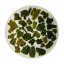 Bancha Kyoto 50g