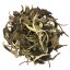 Dhara White "Bílá hvězda" |40g