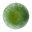 Matcha Koicha Meiju |20g