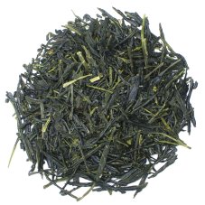 Yamacha Hamamatsu |50g