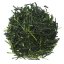 Shincha Sencha Kyoto 2026  |50g