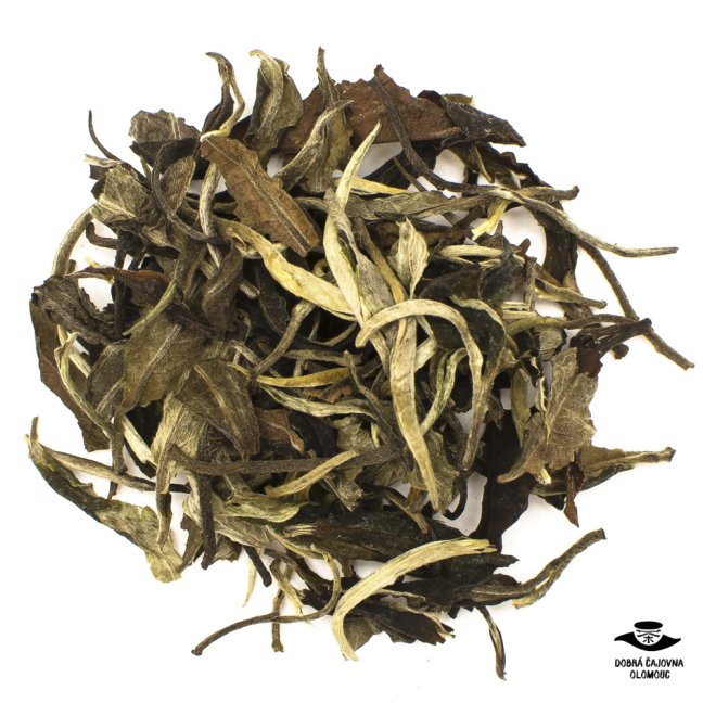 Dhara White "Bílá hvězda" |40g