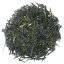 Yamacha Hamamatsu |50g