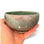 Matcha miska Fenix "Chawan Rainbow" 300ml