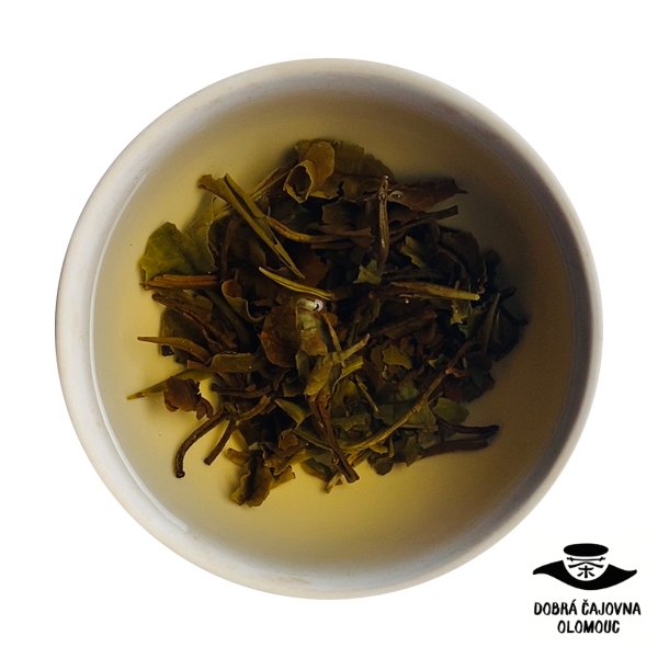 Dhara White "Bílá hvězda" |40g
